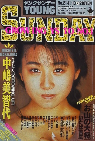 Cover of No. 21, 1992
