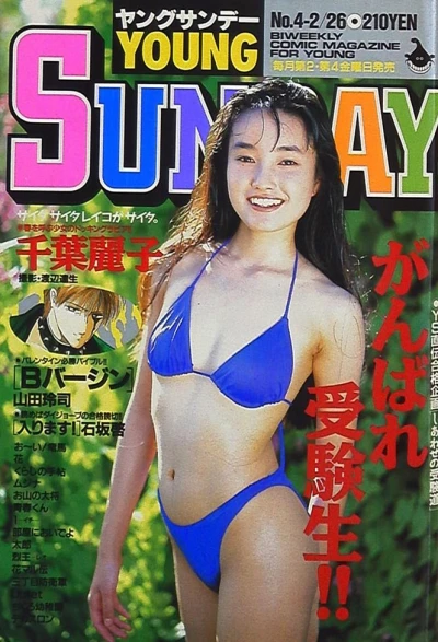 Cover of No. 4, 1993
