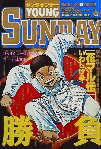 Cover of No. 10, 1993