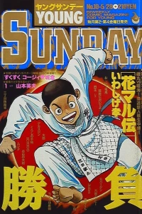 No. 10, 1993