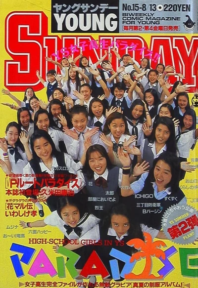 Cover of No. 15, 1993