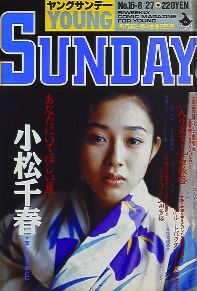Cover of No. 16, 1993