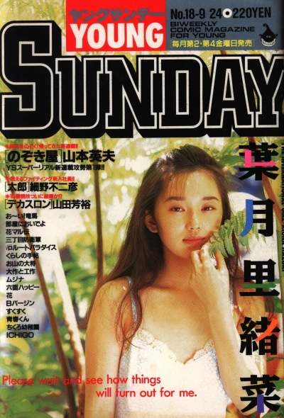 Cover of No. 18, 1993