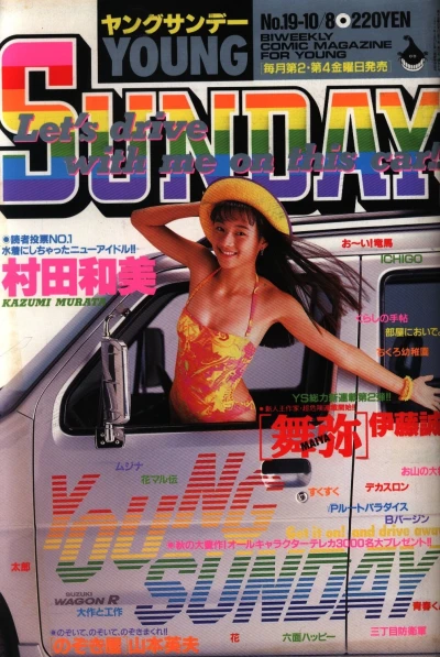 Cover of No. 19, 1993