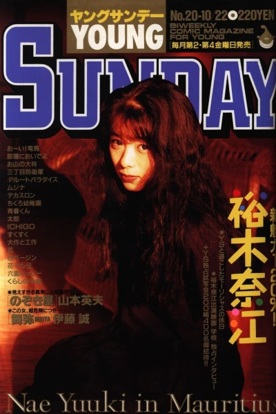 Cover of No. 20, 1993