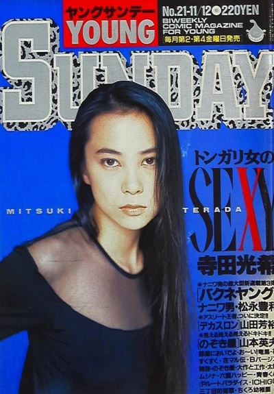 Cover of No. 21, 1993