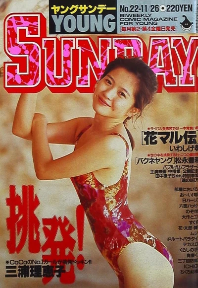 Cover of No. 22, 1993