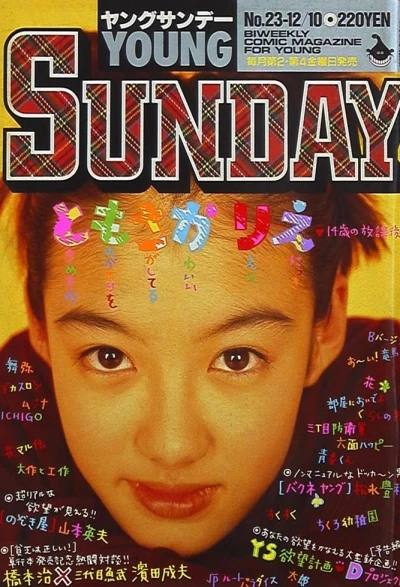 Cover of No. 23, 1993