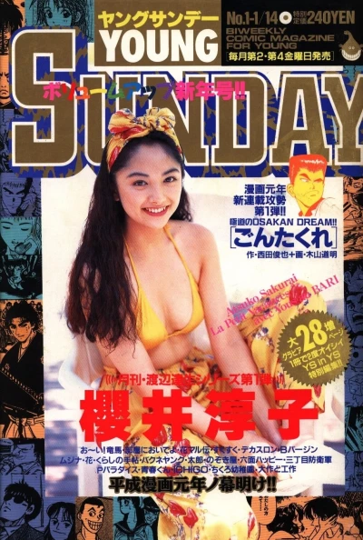 Cover of No. 1, 1994