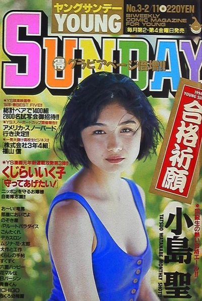 Cover of No. 3, 1994