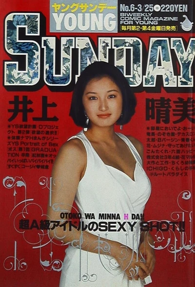 Cover of No. 6, 1994