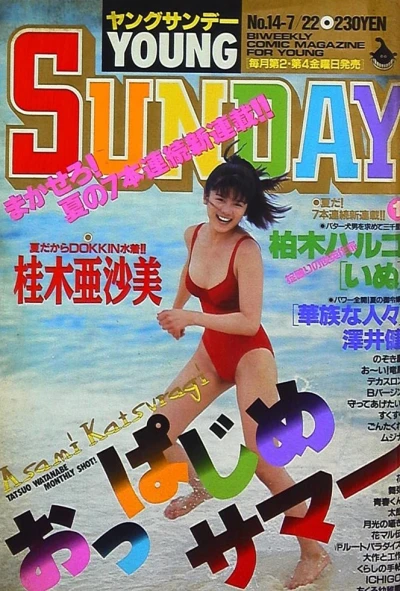 Cover of No. 14, 1994