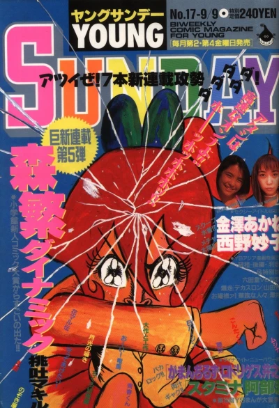 Cover of No. 17, 1994