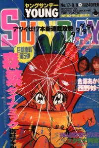 No. 17, 1994