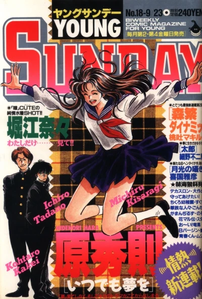 Cover of No. 18, 1994
