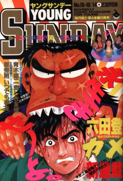 Cover of No. 19, 1994