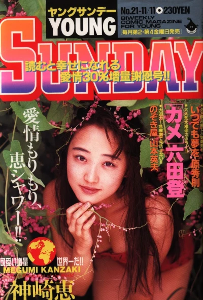 Cover of No. 21, 1994