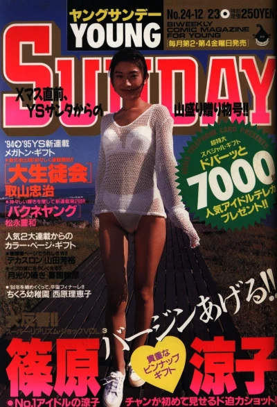 Cover of No. 24, 1994