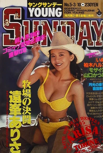 Cover of No. 5, 1995