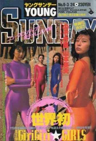 Cover of No. 6, 1995