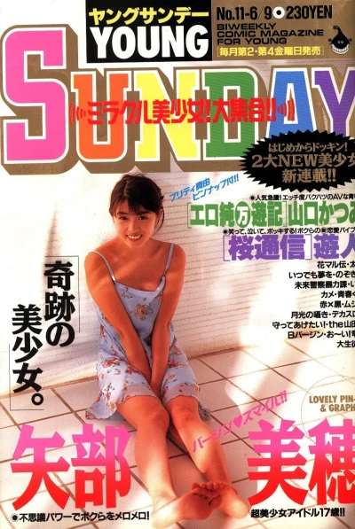 Cover of No. 11, 1995