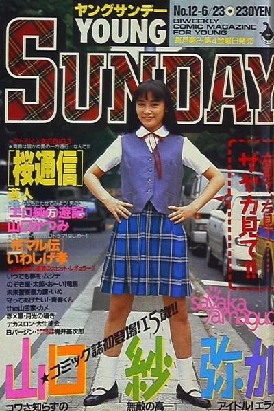 Cover of No. 12, 1995