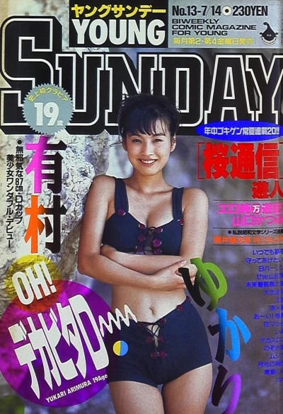 Cover of No. 13, 1995