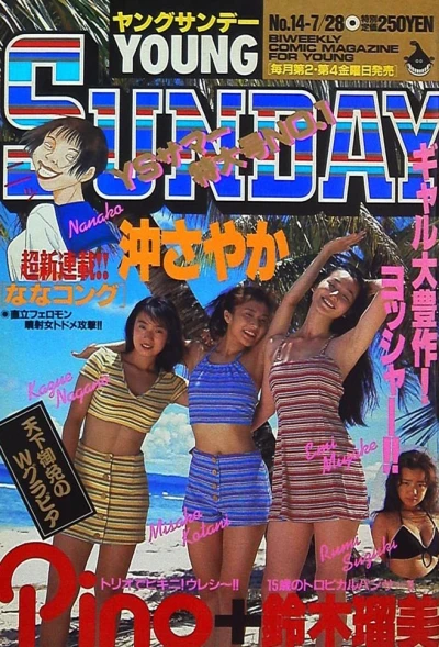 Cover of No. 14, 1995