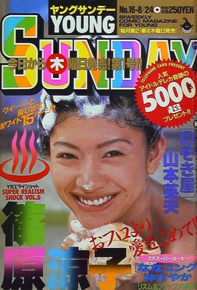 Cover of No. 16, 1995