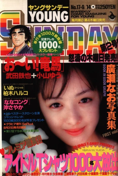 Cover of No. 17, 1995