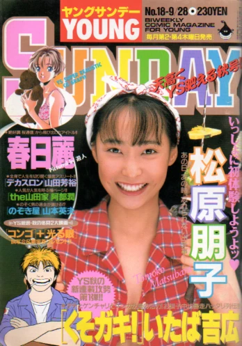 Cover of No. 18, 1995