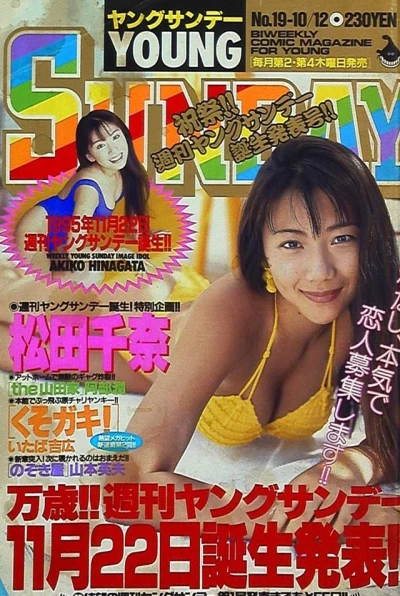 Cover of No. 19, 1995