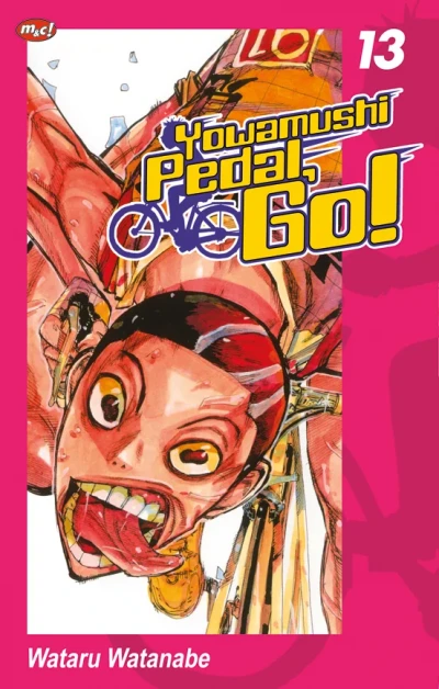 Cover of Volume #13