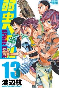 Vol. 13