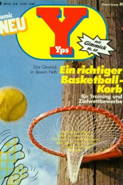 Ein richtiger Basketball-Korb