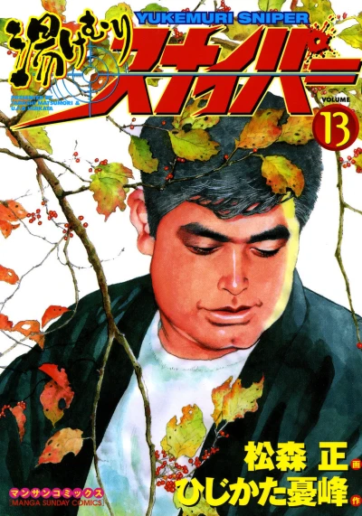 Cover of Vol. 13