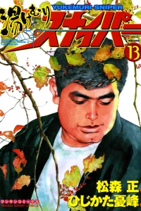 Vol. 13