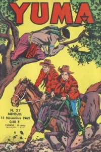 Issue #37