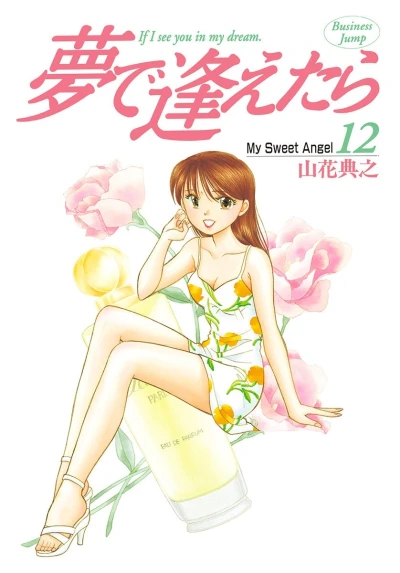 Cover of Vol. 12
