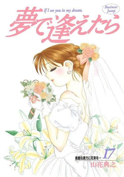 Cover of Vol. 17