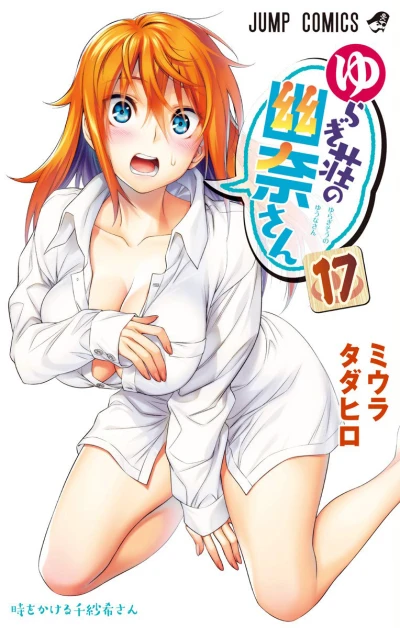 Cover of Vol. 17