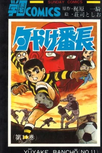 Vol. 11