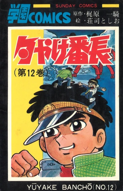 Cover of Vol. 12
