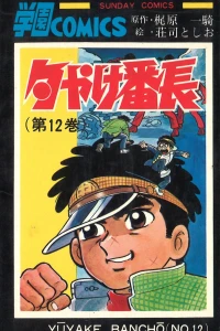 Vol. 12