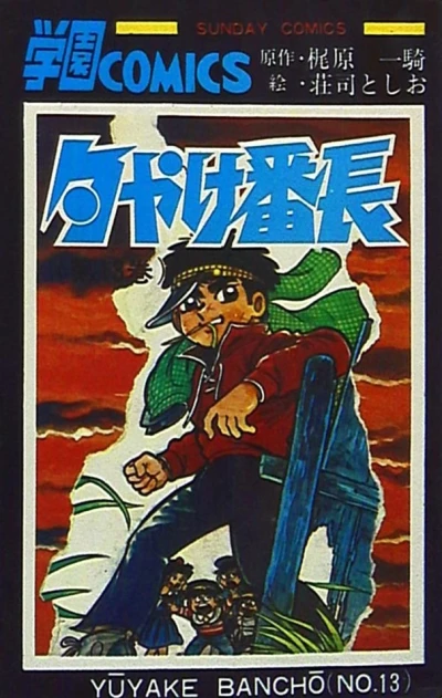 Cover of Vol. 13