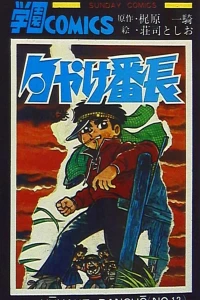 Vol. 13