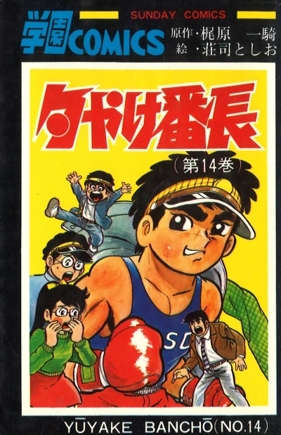 Cover of Vol. 14