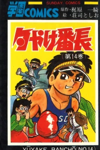 Vol. 14