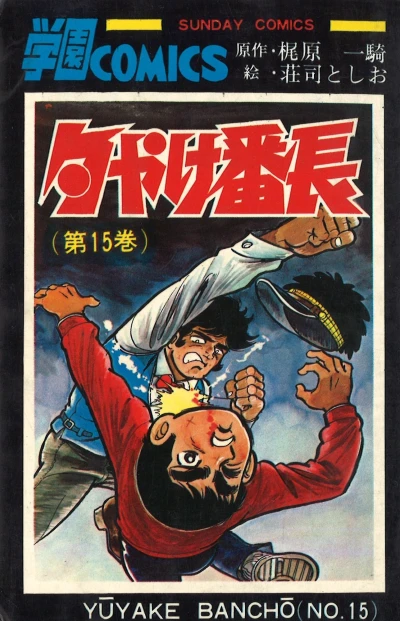 Cover of Vol. 15