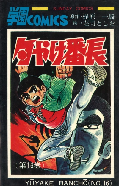 Cover of Vol. 16